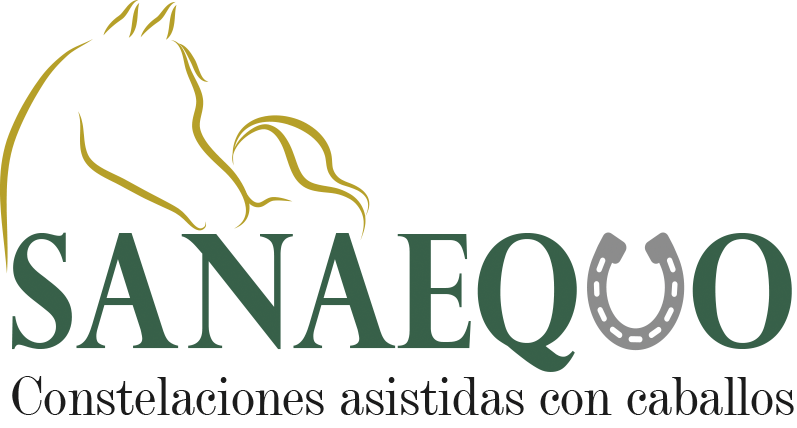CONSTELACIONES SISTÉMICAS CON CABALLOS