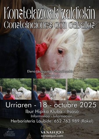 constalaciones_18_octubre_2025_ek
